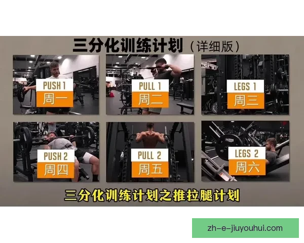 揭秘健身盘口:如何科学合理地进行健身训练? 揭秘健身盘口:如何科学合理地进行健身训练?