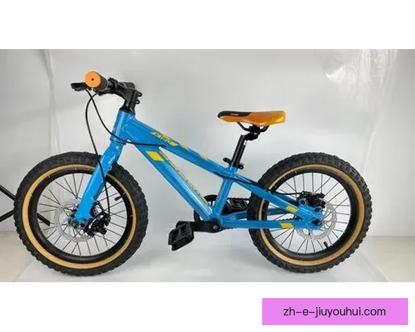 BMX排名揭晓：挑战极限，创造传奇