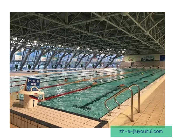 全面解读铁人三项训练策略及实践指南