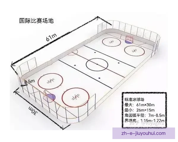 冰球爱好者的完整入门指南