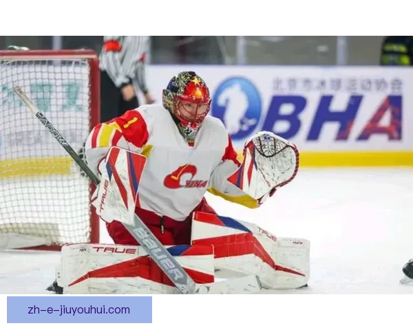 冰球冠军的征程：战胜困难，决战巅峰