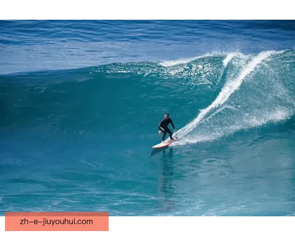 冲浪盘口分析技巧与实战策略分享