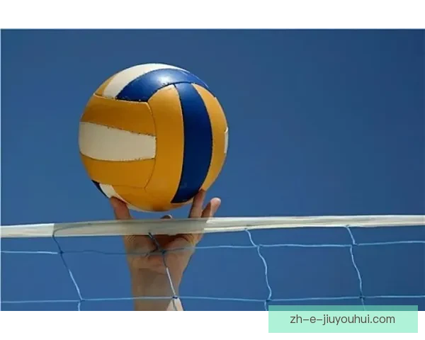 学习排球技巧，提升实战水平