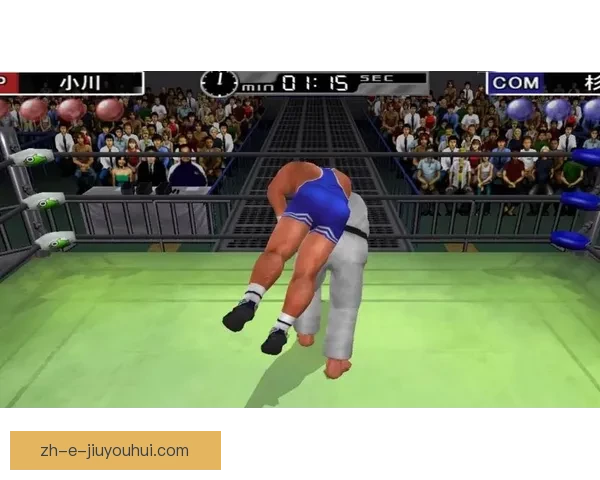 柔道公开赛：格斗风云再起