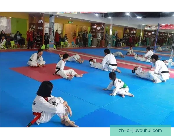 跆拳道赛事预测：技击风云，谁能夺魁？