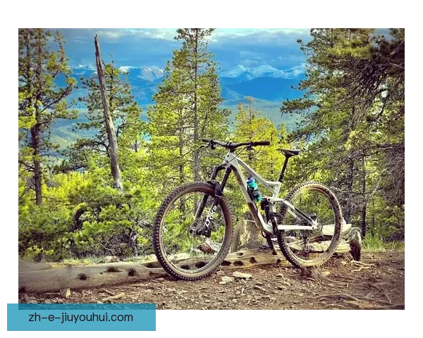 骑行乐园：探秘山地车世界